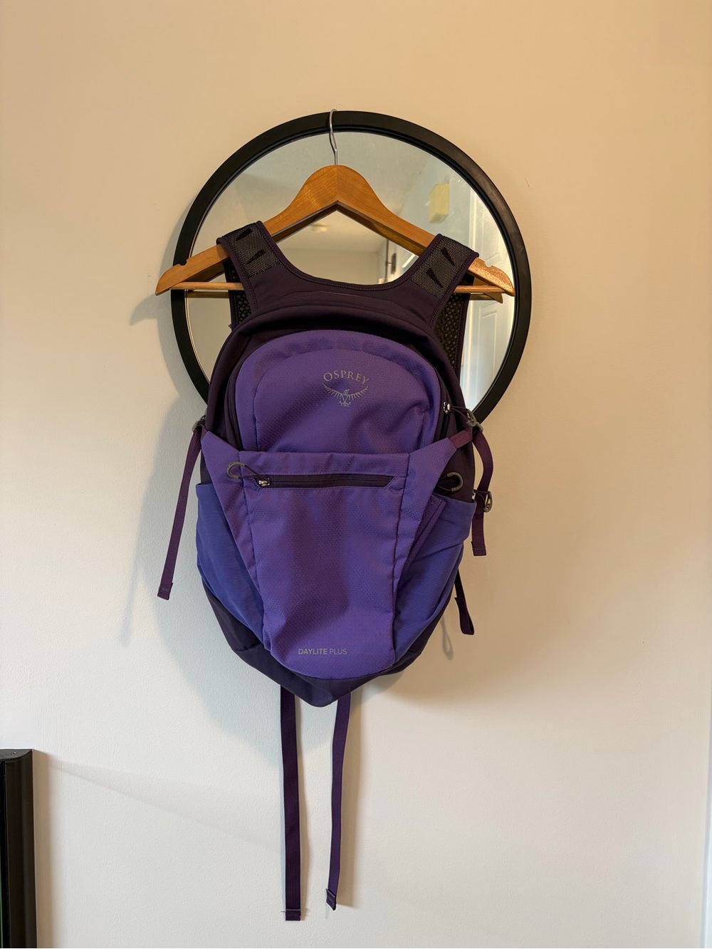 OSPREY Women's Purple Daylight Plus Backpack